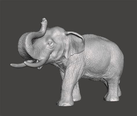 View 3d Printed Elephant  Abi
