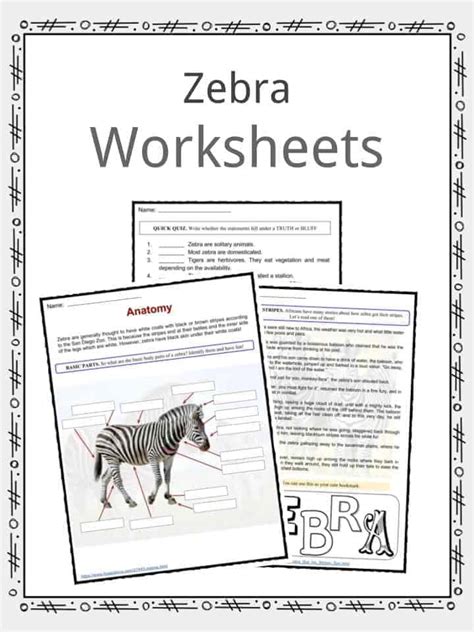 Zebra Facts Worksheets Species And Habitat Information For Kids