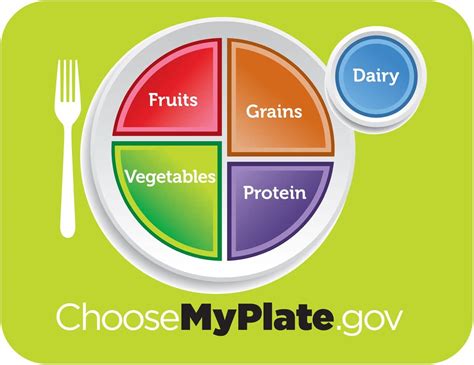 Nces Myplate Placemat 250 Placemats Home And Kitchen