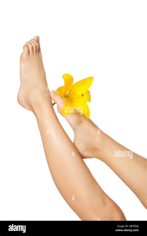 Beautiful Woman Legs With Flower Isolated On White Stock Photo Alamy