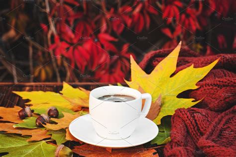 Cup Of Coffee In Autumn Leaves Stock Photo Containing Autumn And Coffee