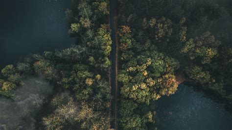 Download Wallpaper 1366x768 Road Forest Top View Fog