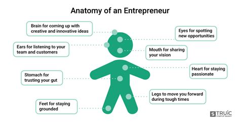 Entrepreneur Characteristics Anatomy Of An Entrepreneur