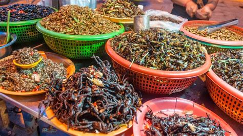 Eating Insects Should We Be Eating More Why Are They So Good Bbc