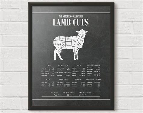 Cattle Butcher Chart Beef Cuts Diagram Meat Mini Poster 11 X17