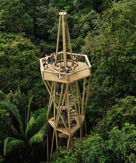 Panama Rainforest Discovery Center Excelencia En Viajes Panama