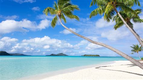 Bora Bora Backgrounds 84 Pictures