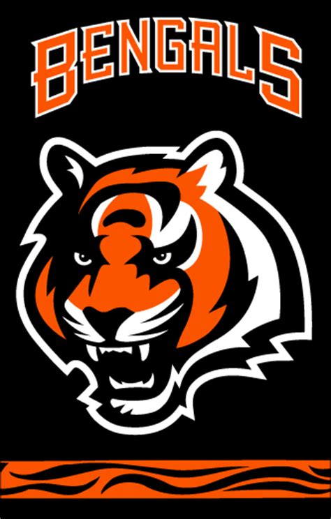 Baldufa Cincinnati Bengals