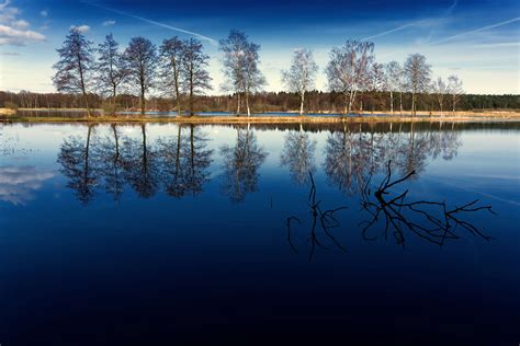 Forest Lake Nature Outside Park Poland Pond Reflections Royalty Free Spring Summer
