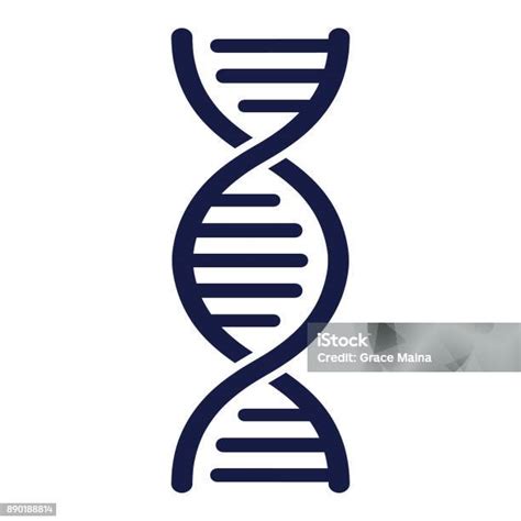 Dna Strand Vector Stock Illustration Download Image Now Dna Icon
