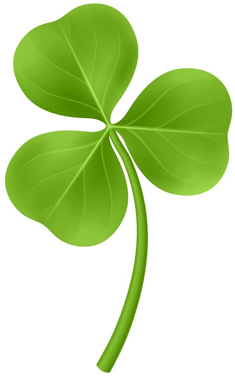 Download Plant Leaf Ireland Patrick Shamrock Saint Day Hq Png Image