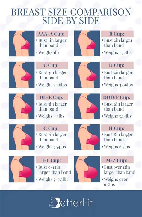Breast Size Comparison Side By Side Breast Sizes Chart Bra Size