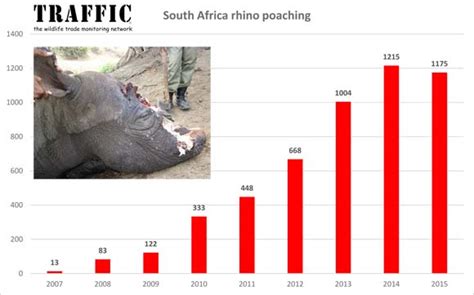 Rhino Poaching Graph
