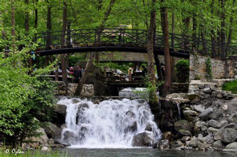 Mc sapanca hotel büyüklükleri 52 ile 62 mt2 arasında değişen 5 odasıyla dört bir yanı yeşilliğiyle saran size özel bahçesiyle ormanın içinde sizin için en konforlu hale getirilerek tasarlandı. مدينة سبانجا Sapanca في تركيا | سائح