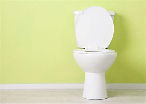 Common Reasons Why Your Toilet Is Gurgling