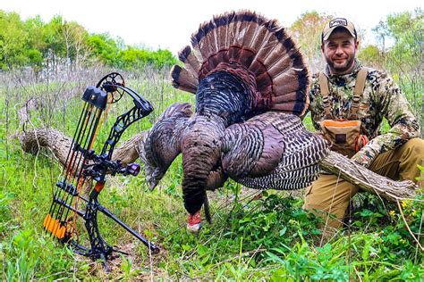 A New Plan For Killing Turkeys With A Bow Petersens Bowhunting