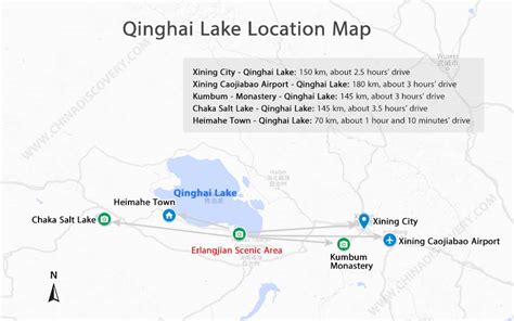 Qinghai Lake Kokonor Lake Qinghaihu Bird Island