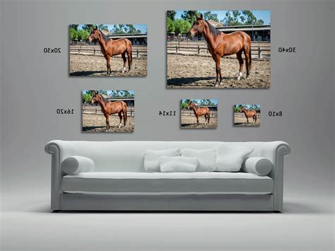 15 Ideas Of Sofa Size Wall Art