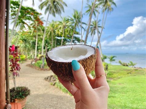 17 Fiji Travel Tips Everything You Need To Know Before Traveling To Fiji What To Do And Not To