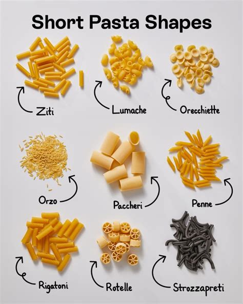 Popular Pasta Shapes Plus The Best Sauce To Serve With Each Visual Guide The Kitchn