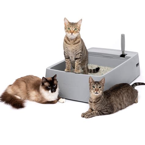 Buy Petsafe Multi Cat Litter Box Extra Large Jumbo Litter Box For