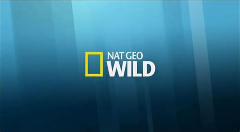 Nat Geo Wild 2015 Idents And Presentation