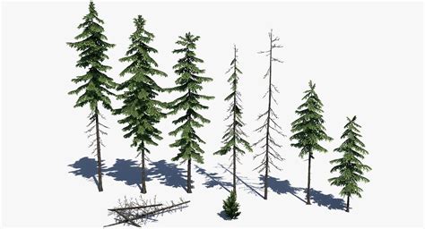 Low Poly Pine Tree Pack In Low Poly D Models Conifers Low Poly