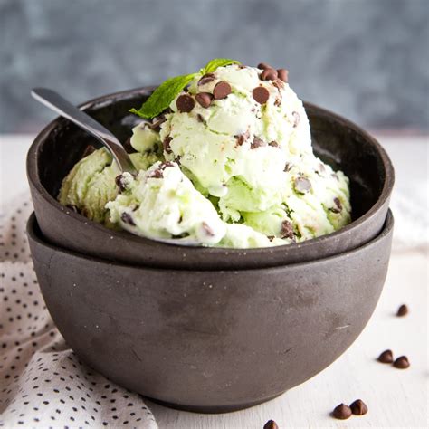 Easy No Churn Mint Chocolate Chip Ice Cream The Busy Baker