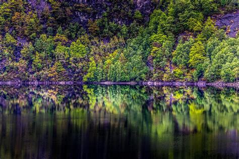 Norway Forest Lake Free Photo On Pixabay