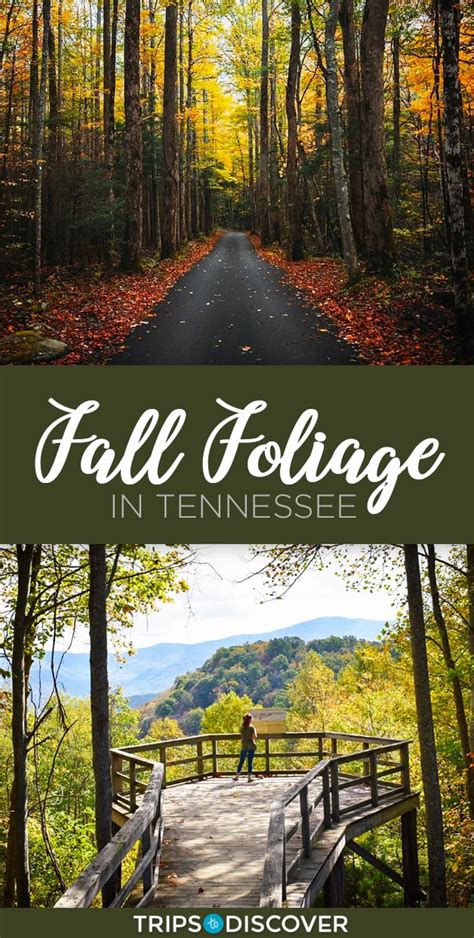 8 Best Places To View Fall Foliage In Tennessee Trips To Discover