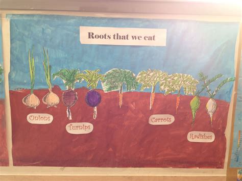We Made Posters To Show The Parts Of A Plant We Can Eat Roots Leaves