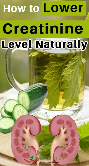 How To Lower Creatinine Level Naturally Remedies Lore