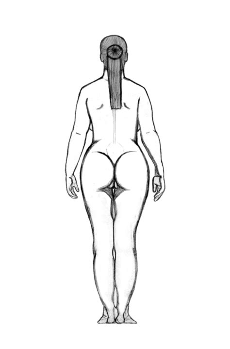 Female Nude Backside Line Art By Bluelion Hentai Foundry