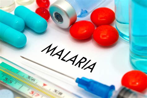 Researchers Develop Long Acting Malaria Prevention Drug Homeland