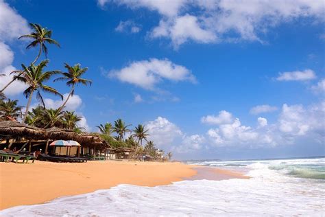 Discover 9 Best Beaches In Sri Lanka Rough Guides