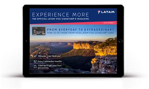 Us bank rei card is a great credit card if you have fair credit (or above). LATAM Visa Rebrand - Intercross