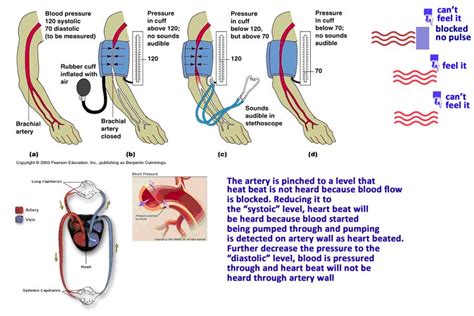 Blood Pressure Normal High Low Health Care Qsota