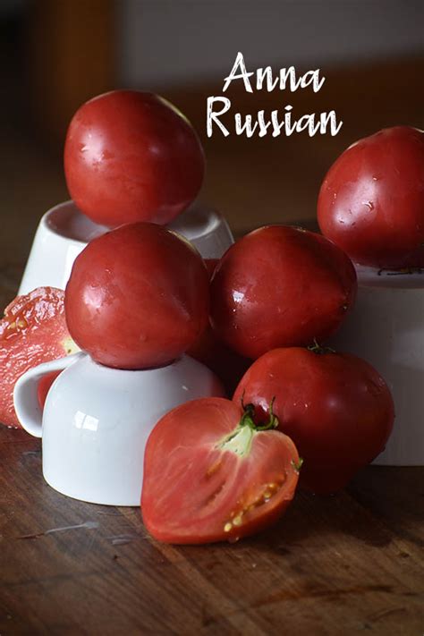 Tomato Anna Russian Seedfreaks Sow The Change You Want To Seed