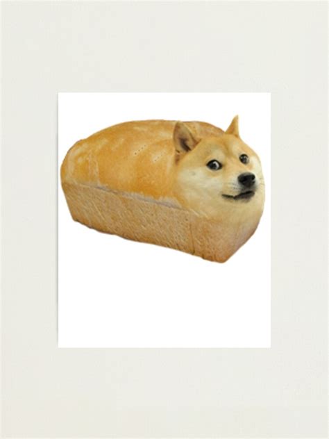Shiba Inu Doge Bread Meme Photographic Print By Sully3333 Redbubble