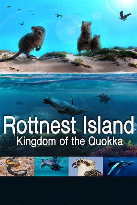 Rottnest Island Kingdom Of The Quokka Tv Series 2018 2018 Posters