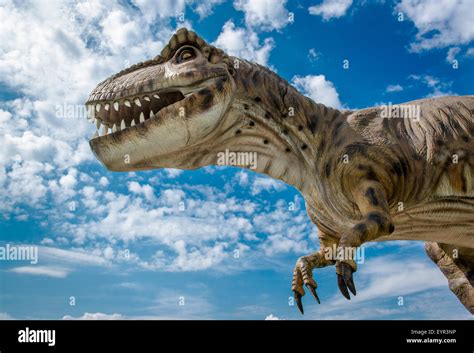 Tyrannosaurus Rex Stock Photo Alamy