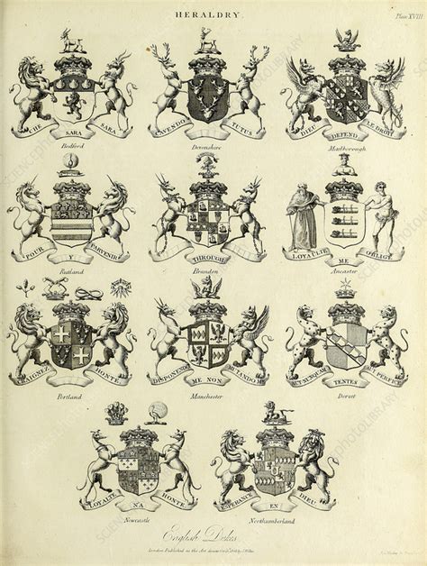 royal armorial bearings illustration stock image c055 9992 science photo library