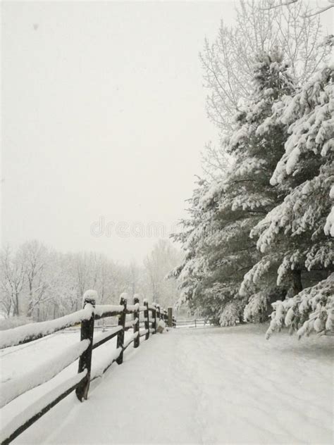 Peaceful Rural Winter Scene Stock Image Image Of Cold Snow 64371905