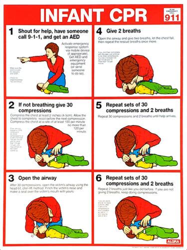 Infant Cpr First Aid Instructional Wall Chart 18x24 Poster Arc Aha
