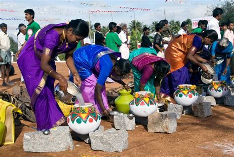 12 Evocative Pictures Of The Pongal Festival In Tamil Nadu Pongal