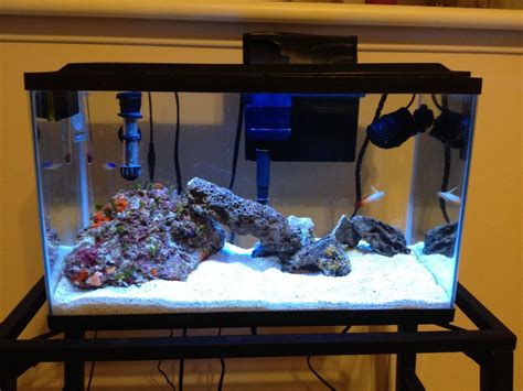Cornestos 10 Gal Budget Nano Aquarium Tank Shots Nano Reef Community