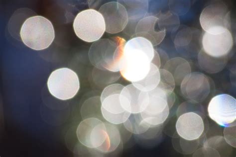 Free Images Bokeh Blur Abstract Sunlight Petal Blue Lighting