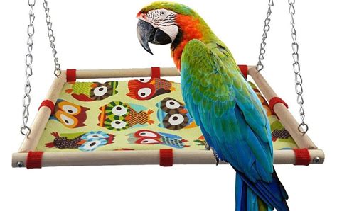 Gambar dekoratif merupakan gambar dengan corak dekor atau hias. 31 Gambar Kartun Burung Beo- Sky Mainan Ayunan Gantung Bahan Kayu Motif Print Burung Hantu ...