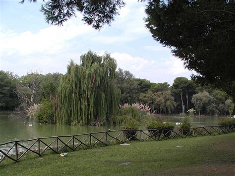 Incendio nella pineta dannunziana, a fuoco alberi e vegetazione radente nel parco adiacente al lago dei cigni, lato via della bonifica. Pineta Dannunziana - Pescara