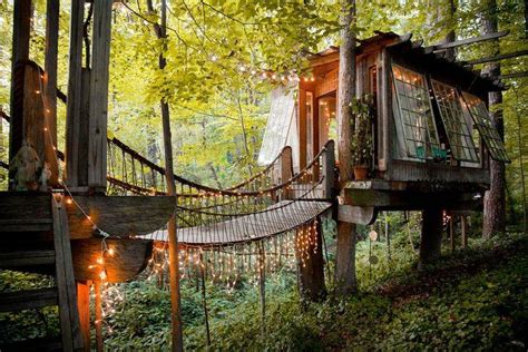 15 Must See Homes That Are Completely Enveloped By Nature